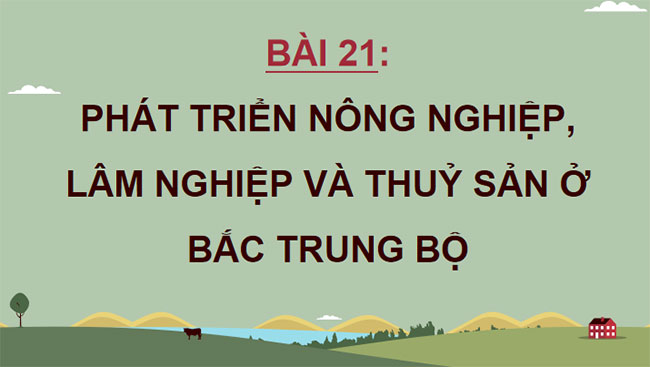 Phát triển nông nghiệp lâm nghiệp và thuỷ sản ở Bắc Trung Bộ