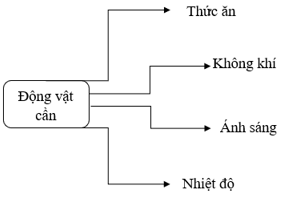 Vở bài tập Khoa học lớp 4 Cánh diều Ôn tập chủ đề Thực vật và động vật 