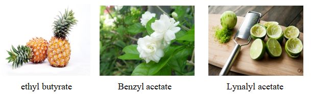 Giáo án môn Hóa 12 Kết nối tri thức file word