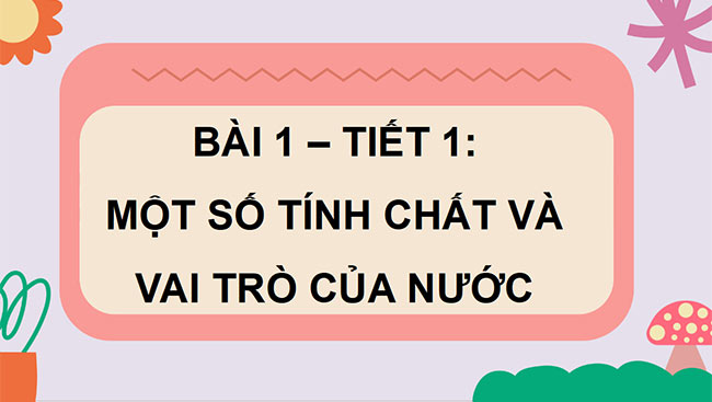 PowerPoint Khoa học 4 Chân trời sáng tạo học kì 1