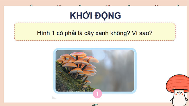 PowerPoint Khoa học 4 Chân trời sáng tạo học kì 2