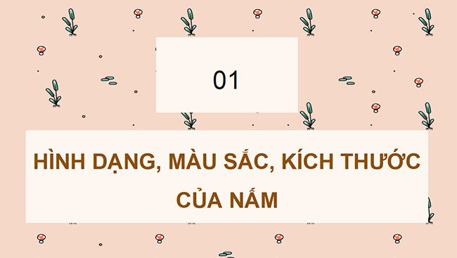 PowerPoint Khoa học 4 Chân trời sáng tạo học kì 2