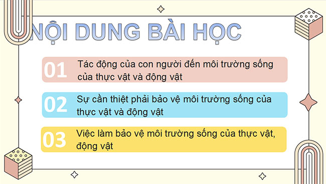 Tự nhiên và xã hội 2 Chân trời