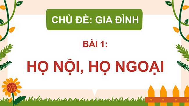 Tự nhiên và xã hội 3 Chân trời sáng tạo