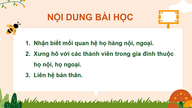 Tự nhiên và xã hội 3 Chân trời sáng tạo