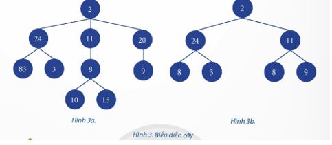 Chuyên đề Tin 12 bài 1