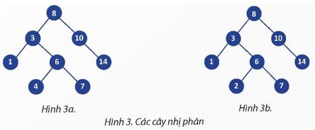 Giải Chuyên đề Tin học 12 bài 3