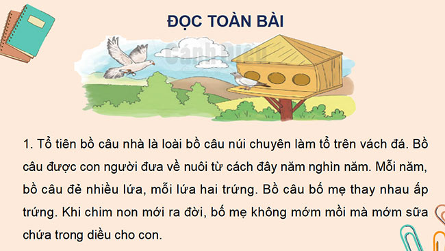 Tieng Viet 2 HK2 6*687326