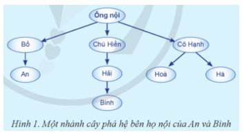 Giải Chuyên đề Tin học 12 Cánh diều bài 1: Giới thiệu cây nhị phân