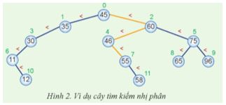 Giải Chuyên đề Tin học 12 Cánh diều bài 3: Cây tìm kiếm nhị phân