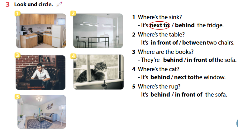 Workbook Tiếng Anh 4 Wonderful world Unit 2 lesson 2 minh họa 3