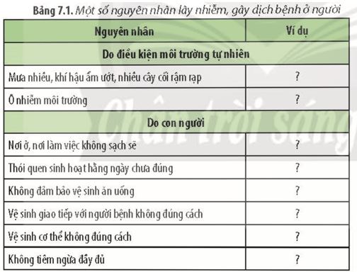 Giải Chuyên đề Sinh học 11 Chân trời sáng tạo bài 7