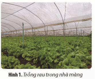 Giải Chuyên đề Sinh học 11 Chân trời sáng tạo bài Ôn tập chuyên đề 1