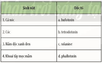 Giải Chuyên đề Sinh học 11 Chân trời sáng tạo bài Ôn tập chuyên đề 3