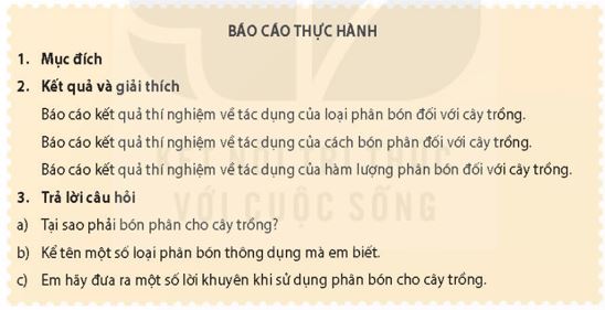 Giải Chuyên đề Sinh học 11 bài 4