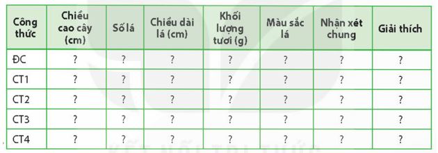 Giải Chuyên đề Sinh học 11 Kết nối tri thức bài 4