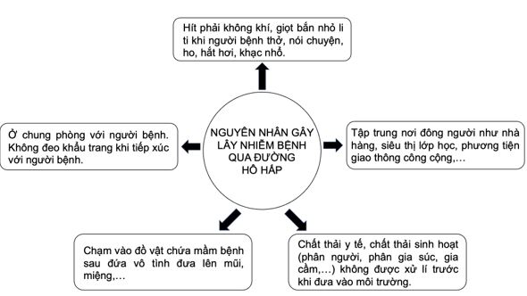 Giải Chuyên đề Sinh học 11 Kết nối tri thức bài 6