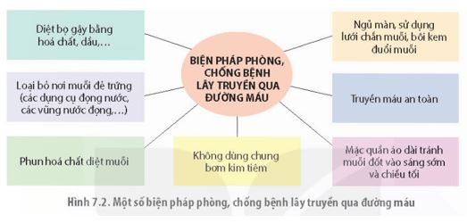 Giải Chuyên đề Sinh học 11 Kết nối tri thức bài 7