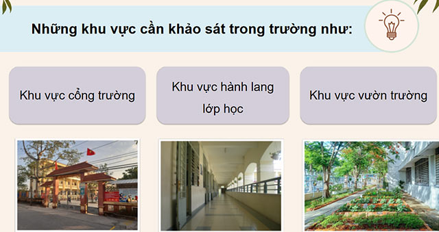 Hoạt động trải nghiệm 4 sách Cánh diều