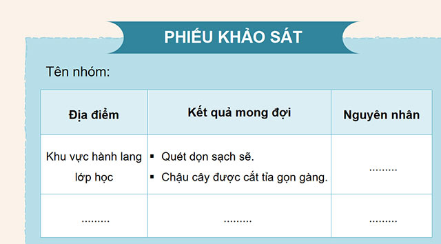 Hoạt động trải nghiệm 4 sách Cánh diều