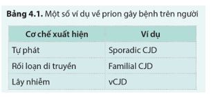 Giải Chuyên đề Sinh học 11 Cánh diều bài 4