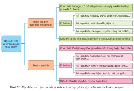 Giải Chuyên đề Sinh học 11 Cánh diều bài 9