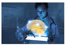 Giáo án Tin học 12 Kết nối tri thức file word (Cả năm) - Tin học ứng dụng