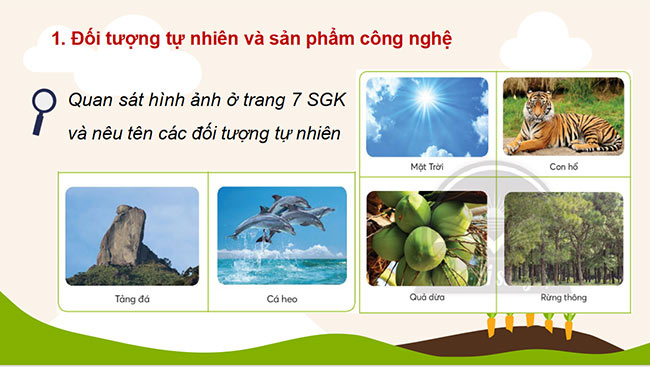 Cong nghe 3 5*689582