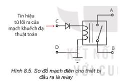 Giải Chuyên đề Vật lí 11 Kết nối tri thức bài 8