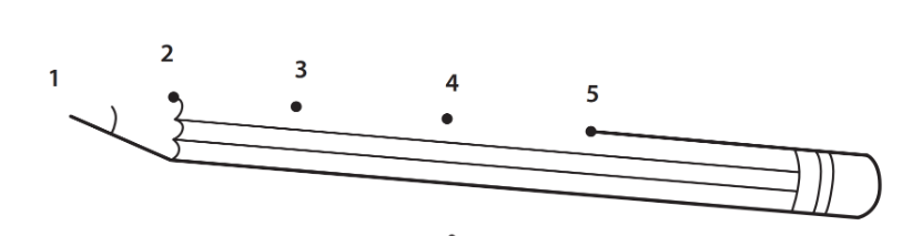 SBT Tiếng Anh 1 Wonderful World Unit 2 Lesson 6 minh họa 3