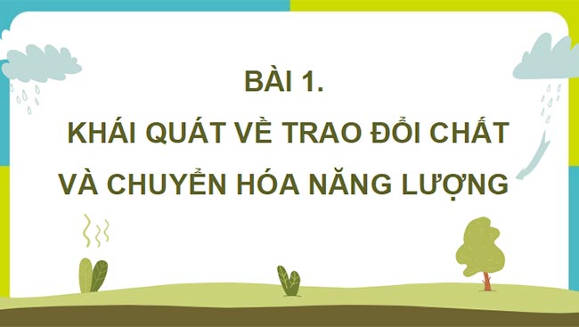 PowerPoint Sinh học 11 Bài 1 Kết nối tri thức