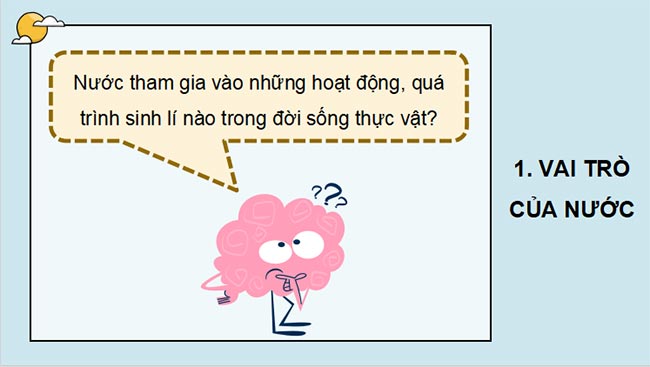 PowerPoint Sinh học 11 Bài 2 Kết nối tri thức