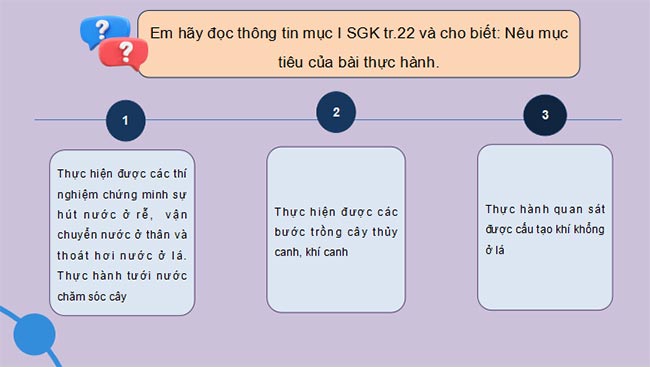 PowerPoint Sinh học 11 Bài 3 Kết nối tri thức