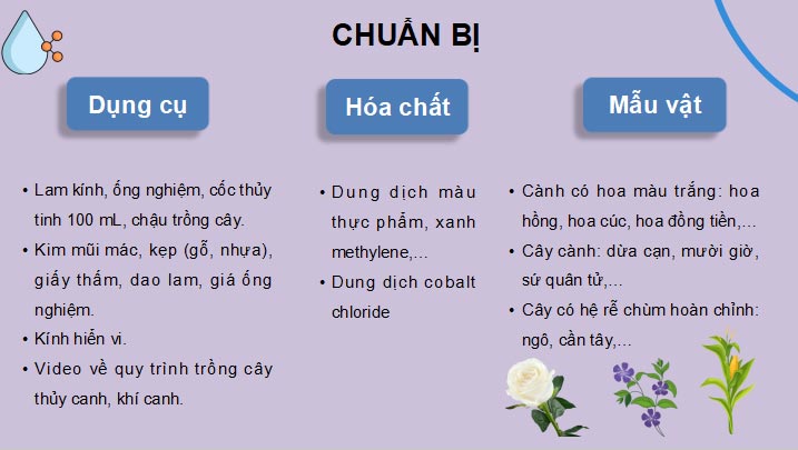 PowerPoint Sinh học 11 Bài 3 Kết nối tri thức