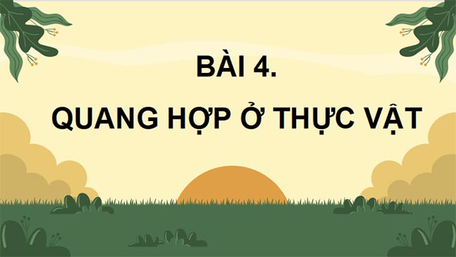 PowerPoint Sinh học 11 Bài 4 Kết nối tri thức