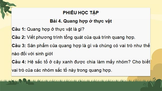 PowerPoint Sinh học 11 Bài 4 Kết nối tri thức