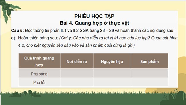 PowerPoint Sinh học 11 Bài 4 Kết nối tri thức