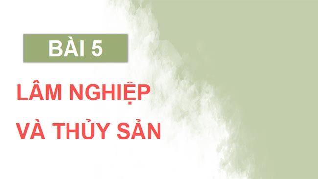 PowerPoint Địa lí 9 Bài 5 Kết nối tri thức