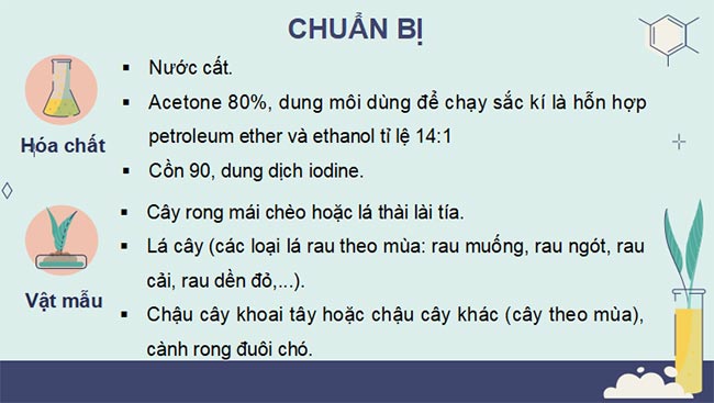 PowerPoint Sinh học 11 Bài 5 Kết nối tri thức