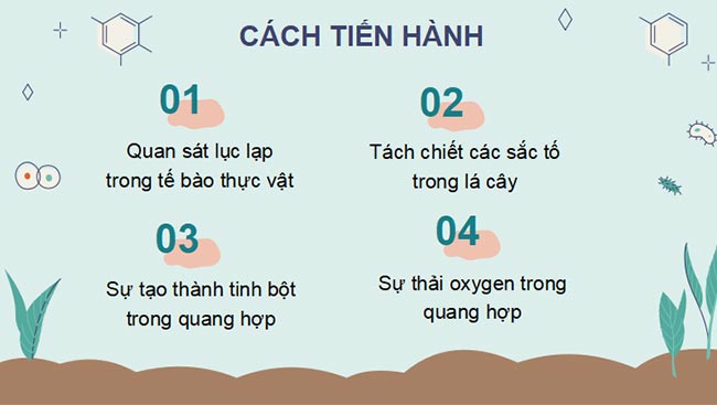 PowerPoint Sinh học 11 Bài 5 Kết nối tri thức