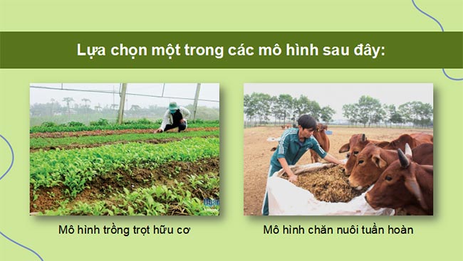 PowerPoint Địa lí 9 Bài 6 Kết nối tri thức