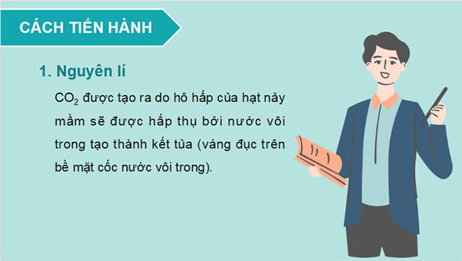 PowerPoint Sinh học 11 Bài 7 Kết nối tri thức