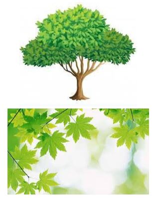 Giải Chuyên đề Tin học 11 Kết nối tri thức bài 14: Tạo hiệu ứng cho ảnh động