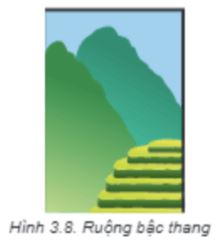 Giải Chuyên đề Tin học 11 Kết nối tri thức bài 3: Làm việc với đối tượng đường