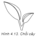 Giải Chuyên đề Tin học 11 Kết nối tri thức bài 4: Chỉnh sửa, ghép nối, kết nối các đối tượng đồ họa