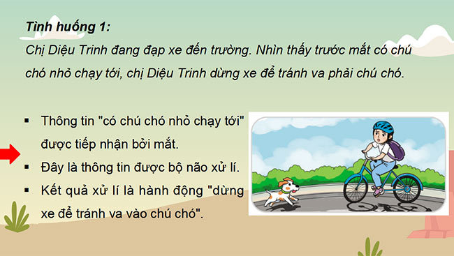 PowerPoint Tin học 3 Xử lý thông tin