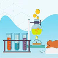 Giáo án Khoa học tự nhiên 7 Bài 7: Hóa trị và công thức hóa học  