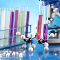 Giáo án Khoa học tự nhiên 7: Ôn tập chủ đề 2  