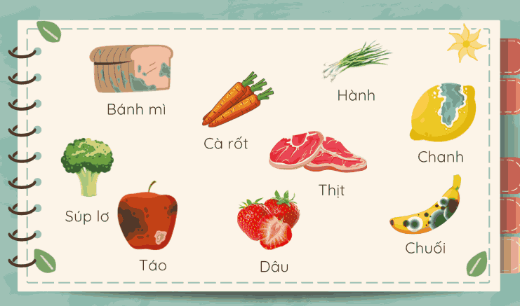 Giáo án PowerPoint STEM lớp 4 - Bộ số 3