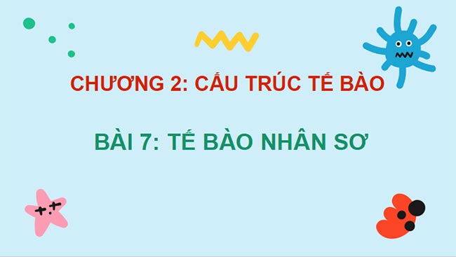 PowerPoint Sinh học 10 Bài 7 Kết nối tri thức